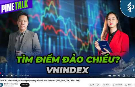 Điều gì tạo nên khác biệt cho bản tin và báo cáo chứng khoán?