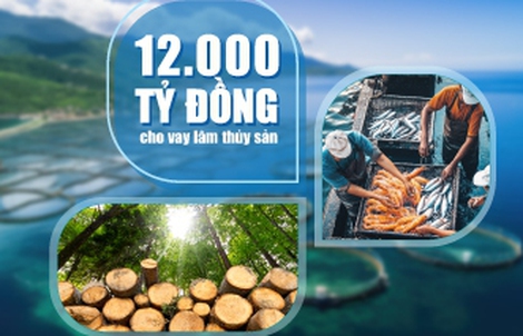 VietinBank tiếp tục đầu tư vào lĩnh vực lâm, thủy sản