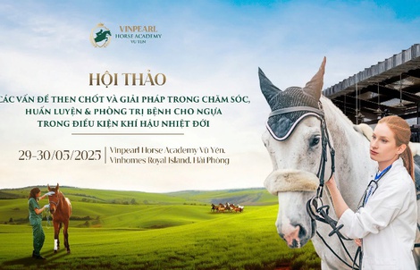 Học viện Cưỡi Ngựa Vinpearl Vũ Yên tổ chức Hội thảo chuyên sâu về ngựa