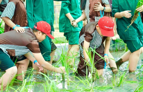 “Ngày hội vui Tết Thiếu nhi” – trao yêu thương, vun đắp tương lai