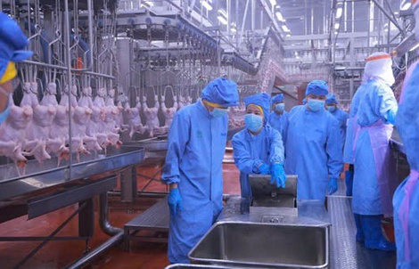 Sở Nông nghiệp và Môi trường tỉnh Bình Phước kiểm tra  CPV Food Bình Phước