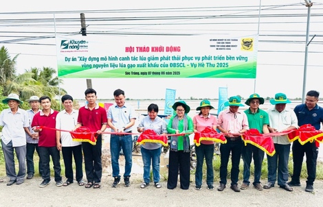 Bình Điền đẩy mạnh Dự án phát triển bền vững vùng nguyên liệu lúa gạo xuất khẩu của ĐBSCL