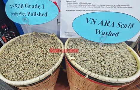Giá cà phê hôm nay 3-6: Thủng mốc 4.500 USD/tấn