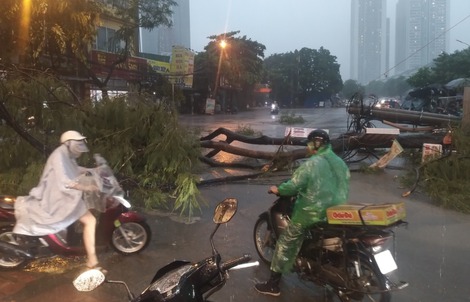 VIDEO: Hà Nội dông lốc mạnh làm bật gốc cây, đổ cột điện, thổi bạt người đi xe máy