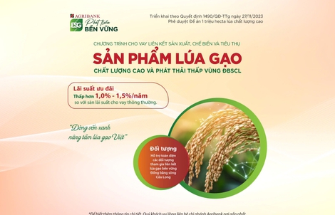 Tín dụng ưu đãi phục vụ Đề án 1 triệu hecta lúa chất lượng cao, phát thải thấp vùng ĐBSCL