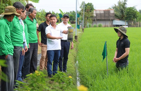 Coca-Cola Việt Nam triển khai sáng kiến “EkoClimate” thúc đẩy nông nghiệp bền vững