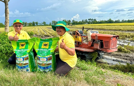 Đầu Trâu Bio-Canxi: Một giải pháp phân bón mới cho canh tác lúa gạo bền vững và giảm phát thải