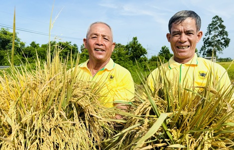 Bình Điền – Hành trình hơn nửa thế kỷ phụng sự nông dân và tầm nhìn tiên phong xanh hóa - số hóa