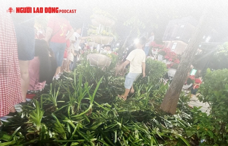 Sau 2 buổi tổng hợp luyện diễu binh: Hàng ngàn m2 hoa, cây cảnh bị giẫm đạp, mất trộm