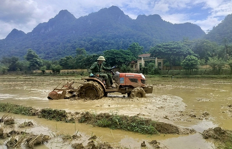 Lính biên phòng Quảng Trị về bản dựng nhà, gieo mạ cùng dân