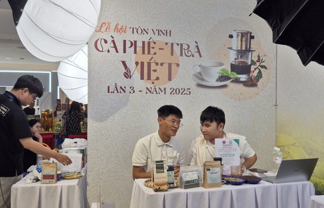 An Tâm Vui Sắm và thương mại điện tử bền vững