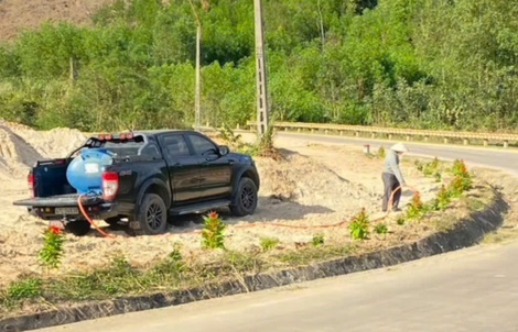 Xúc động chuyện chồng trồng 1 km phượng vĩ, 1.000 cây hoa hồng để tưởng nhớ vợ