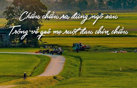Tiếng Việt giàu đẹp: "Ruột đau chín chiều"