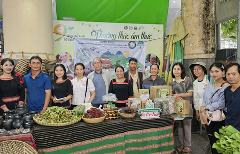 Tropenbos Việt Nam kết nối sinh kế bền vững gắn với bảo tồn rừng