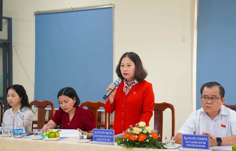 Đoàn Đại biểu Quốc hội TP HCM khảo sát tại nhiều phường, xã khu vực Bà Rịa - Vũng Tàu cũ