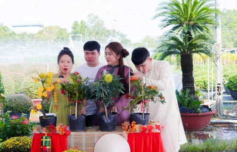 Hoa Tết “bùng nổ” trên TikTok Shop