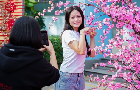Sắc xuân ngập tràn với nhiều hoạt động ý nghĩa dành cho học sinh, sinh viên