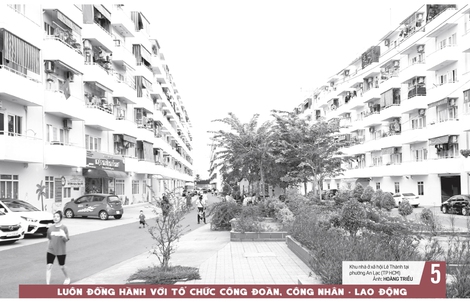 Báo in ngày 17-1: “Ma trận” pháo online: Coi chừng mua nhầm hàng cấm