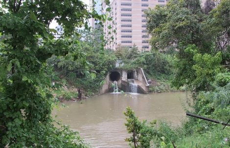 Hơn 30 thi thể vớt từ sông rạch Houston, gây lo ngại về kẻ giết người hàng loạt