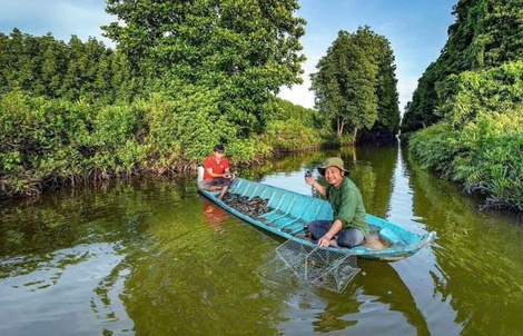 Cà Mau sẽ chi số tiền lớn lên đến gần chục tỉ đồng để tìm người bảo tồn gen cua biển