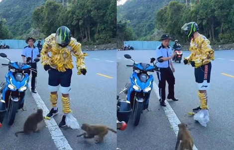 Xôn xao mạng xã hội: Du khách nước ngoài quấn chuối quanh người để “hút” khỉ ở Sơn Trà