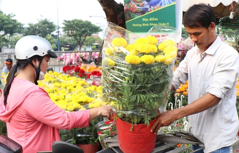 TPHCM thông báo lịch nghỉ Tết Nguyên đán Bính Ngọ năm 2026