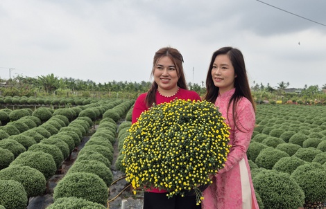 TikTok Shop: Cơ hội bứt phá cho nông sản Việt trong mùa Tết