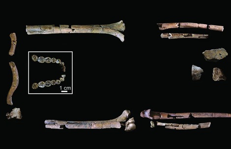 Lộ diện bộ hài cốt cổ xưa nhất của "loài người thực thụ"