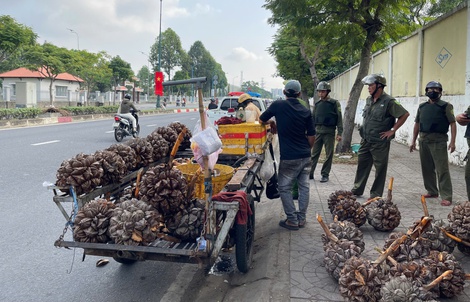 Nền tảng của văn hóa và văn minh