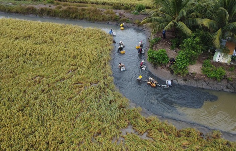 ĐẤT ĐÃ ẤM LÊN