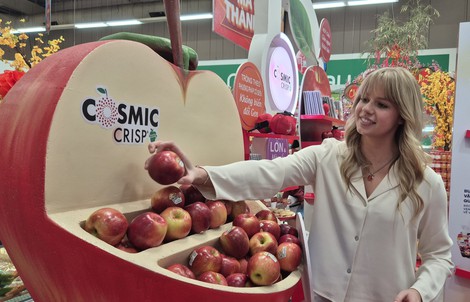 Nhập khẩu táo Mỹ xếp thứ 2 châu Á, "Cô gái táo" đến Việt Nam mùa Tết