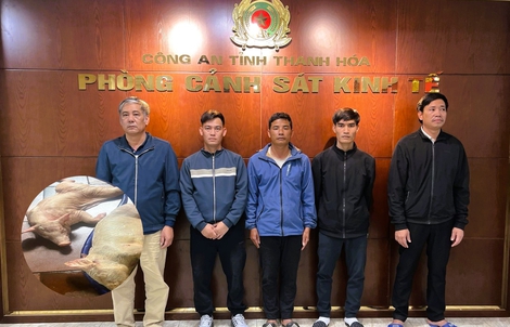 Khởi tố 5 người đàn ông gom hơn 1 tấn heo mắc bệnh dịch tả bán kiếm lời