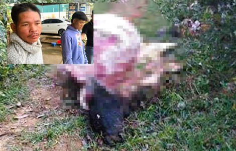 Thiếu tiền tiêu Tết, 2 thanh niên trộm trâu xẻ thịt mang bán