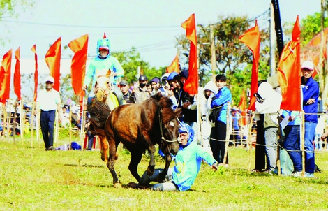Cười ngất Với hội đua ngựa thồ