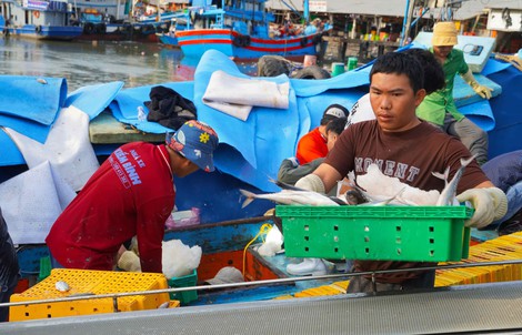 Ngư dân TPHCM phấn khởi với chuyến biển cuối năm