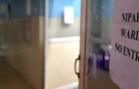 Ấn Độ: Điều dưỡng tử vong sau khi nhiễm virus Nipah