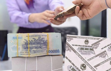 Thanh tra Chính phủ phát hiện một số vi phạm trong phát hành trái phiếu doanh nghiệp riêng lẻ