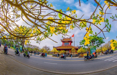 Ngắm trọn khoảnh khắc xuân về 