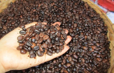 Giá cà phê hôm nay 18-2: "Đổ đèo" mạnh mùng 2 Tết