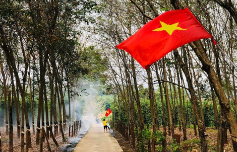 Cuộc thi "Tết xanh": Bỏ điện thoại xuống, tôi ra vườn nhặt nắng gom Xuân