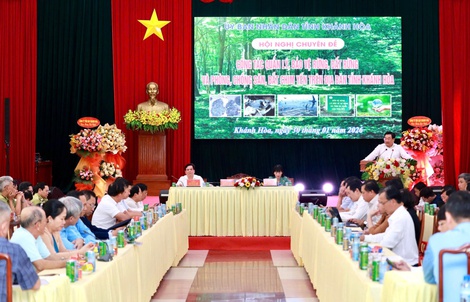 Khánh Hòa báo động nạn săn bắt chim yến, yêu cầu xử lý nghiêm các vi phạm