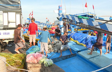 CLIP: Mở biển đầu Xuân, ngư dân Lâm Đồng kỳ vọng mùa cá bội thu