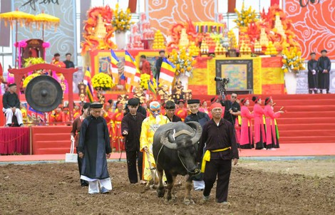 Bí thư Ninh Bình xuống đồng đi cày ở lễ hội Tịch điền 2026