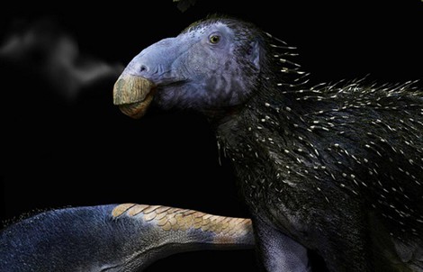 Trung Quốc phát hiện “rồng gai” chưa từng thấy trên thế giới