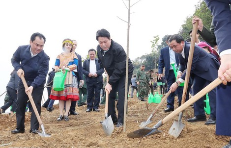 Chủ tịch nước Lương Cường kêu gọi mỗi người dân trở thành một "đại sứ xanh"