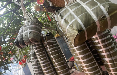 Cuộc thi "Tết Xanh": Câu chuyện chiếc lạt giang gói bánh chưng