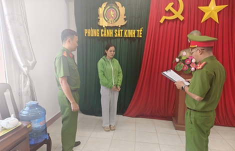 Khởi tố 1 nữ giám đốc công ty tại Đắk Lắk