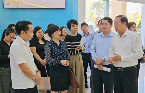 TPHCM báo cáo Hội đồng bầu cử quốc gia về việc tổ chức bầu cử sớm