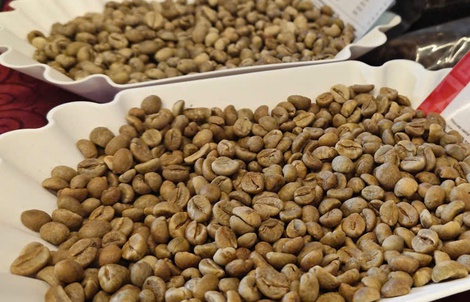 Giá cà phê hôm nay 25-2: Quay đầu tăng mạnh, chưa đến lúc lo thừa cung