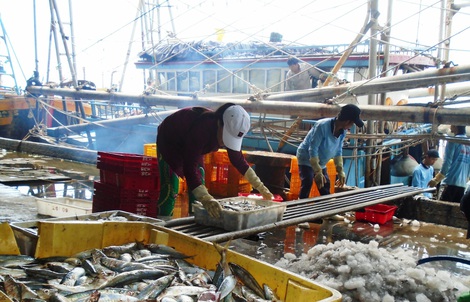 Lâm Đồng kiểm soát chặt 100% tàu cá ra vào cảng